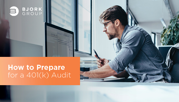 Bjork Group-Sean Bjork-401k Audit Preparation