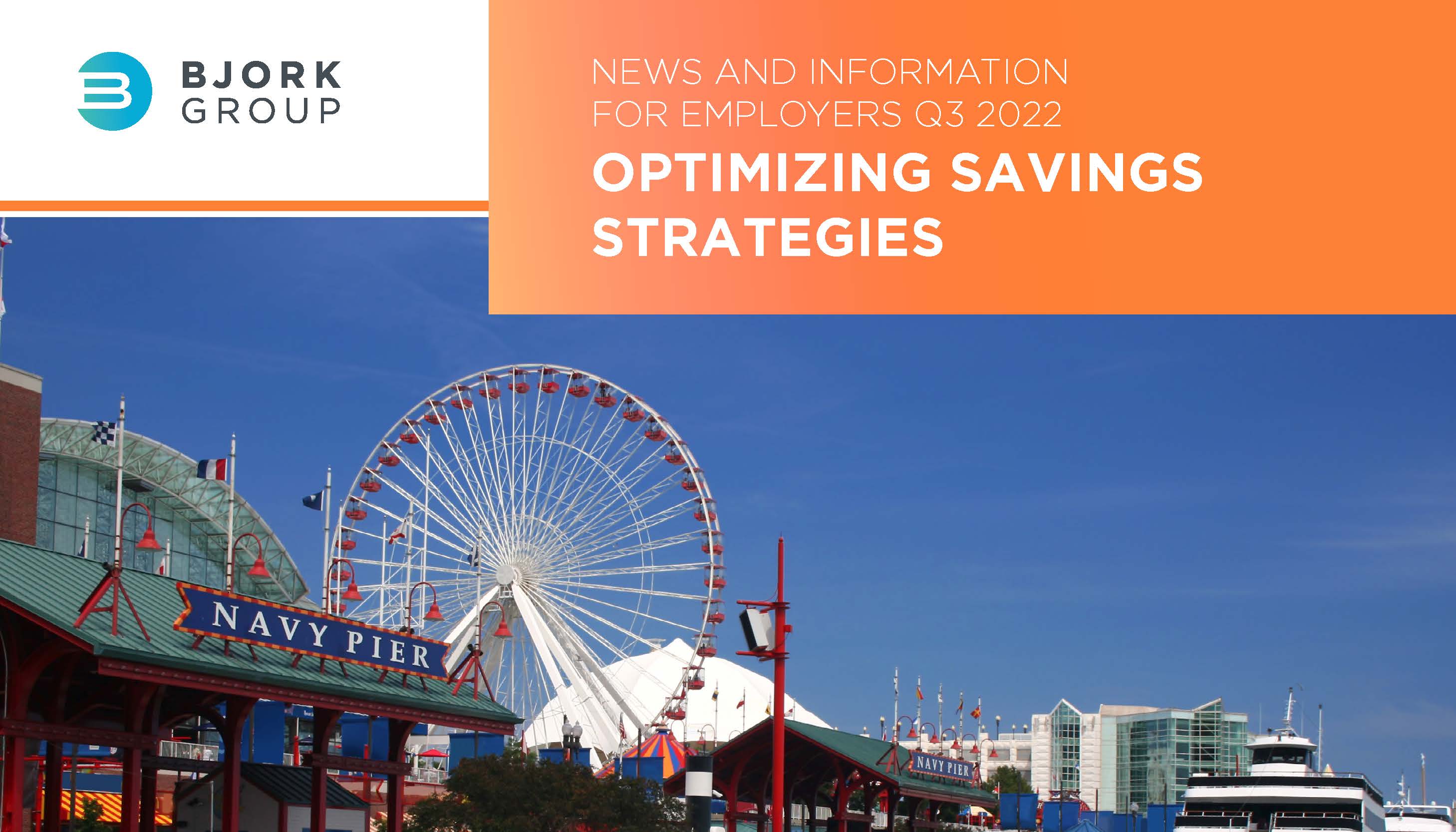 Bjork Group-Sean Bjork-Optimizing Savings Strategies